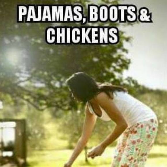 Meet your Posher, Nancy - Picture 1 of 1